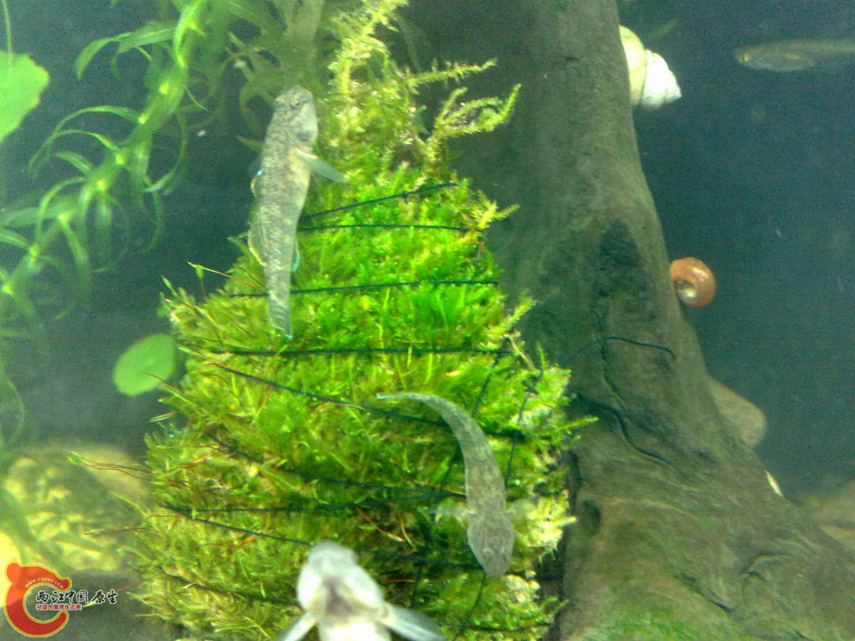 201209126614 .jpg