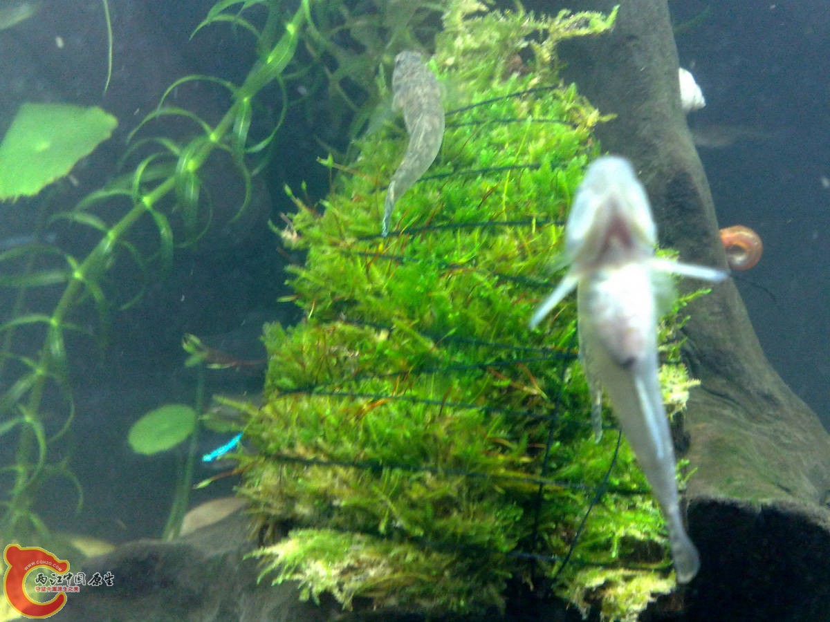 201209126613 .jpg