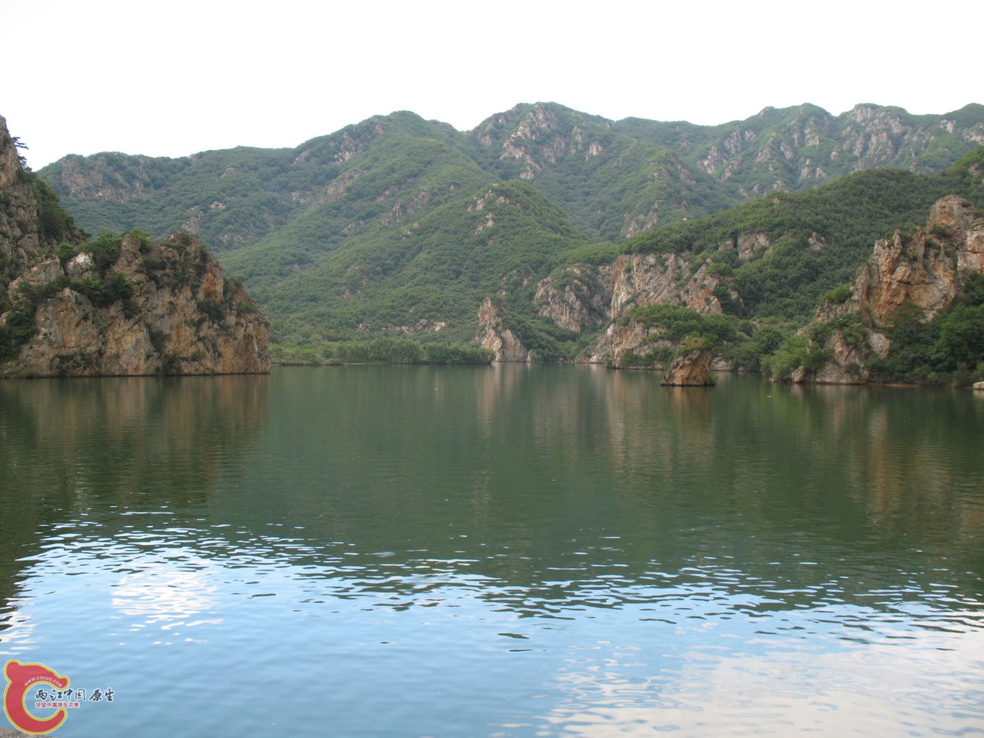 IMG_8808.JPG