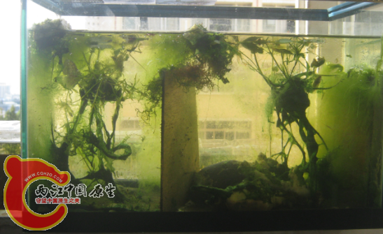 QQ截图20120915102546.png