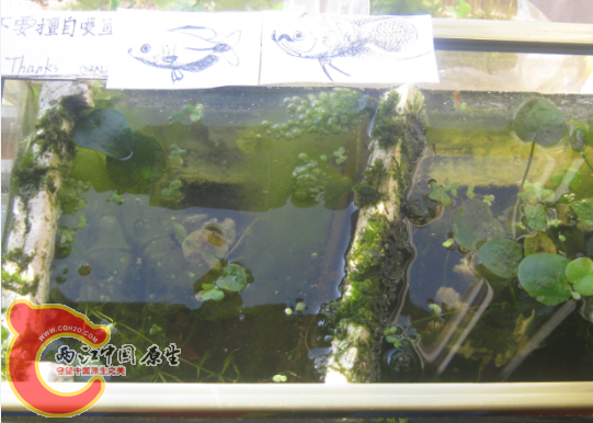 QQ截图20120915102519.png
