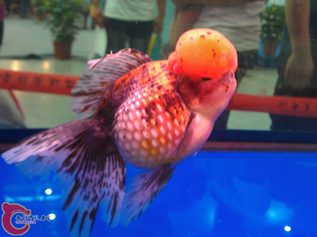CYMERA_20120916_142210.jpg