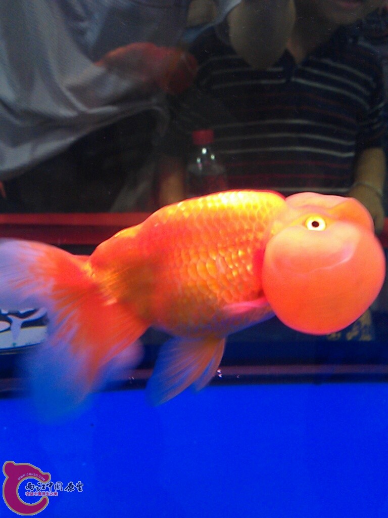 CYMERA_20120916_142339.jpg