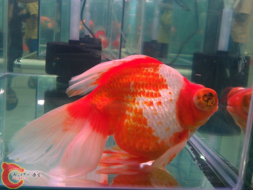 CYMERA_20120916_142616.jpg