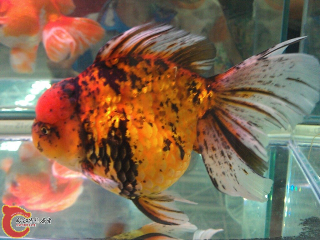 CYMERA_20120916_142702.jpg