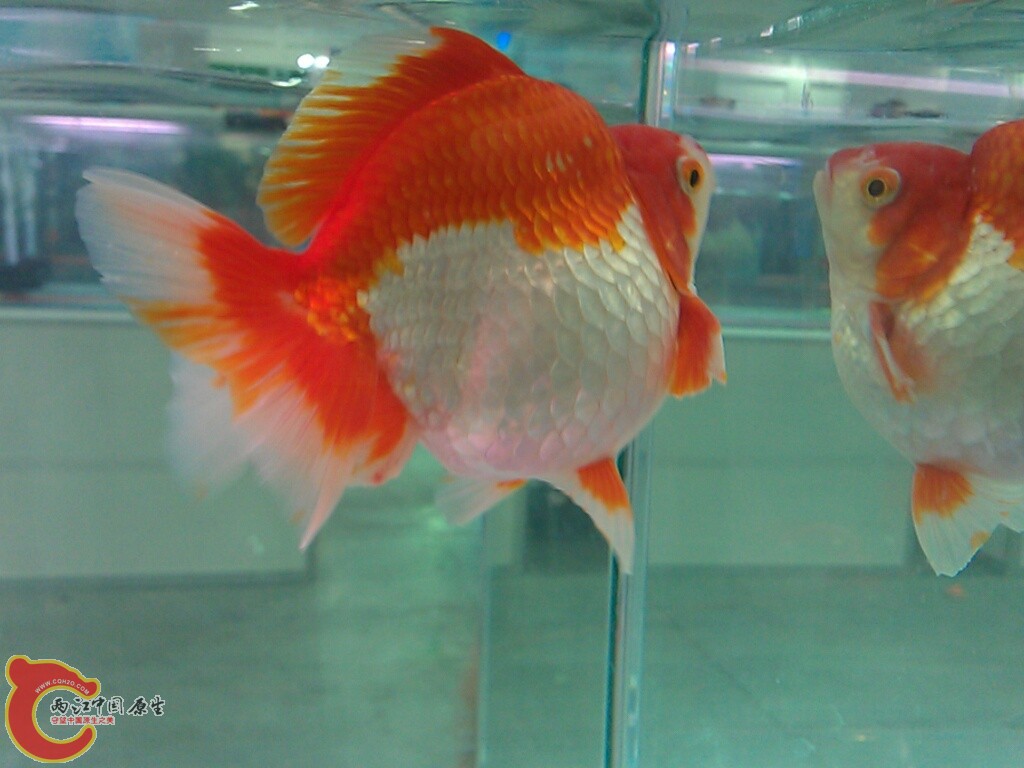 CYMERA_20120916_142739.jpg