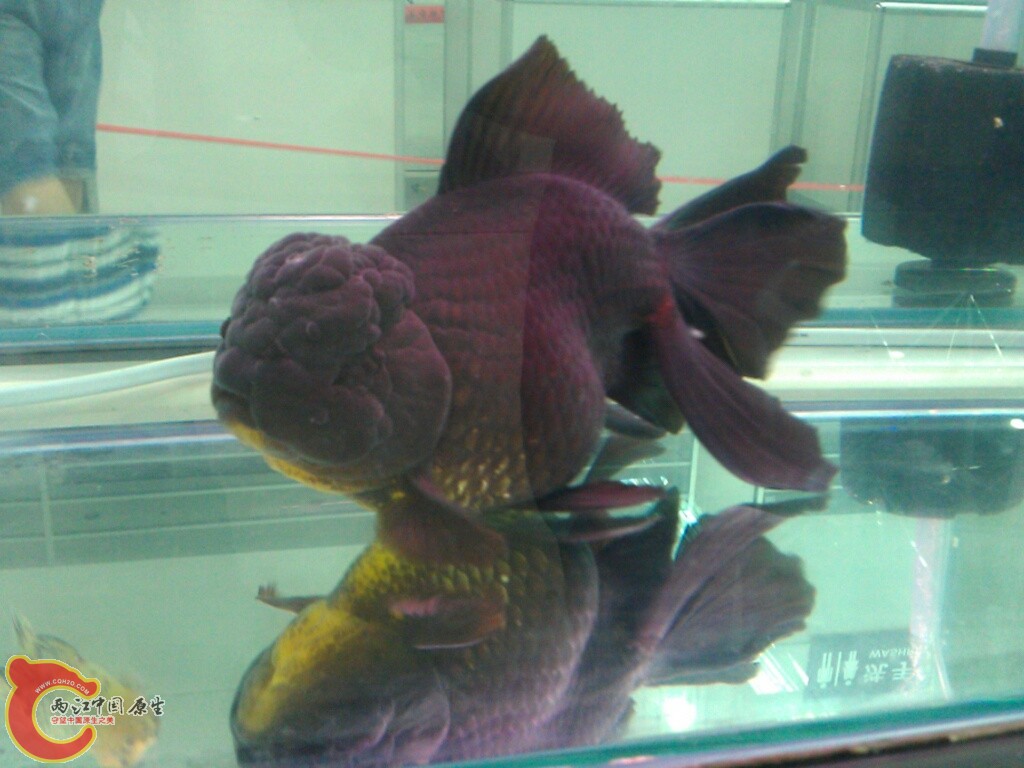 CYMERA_20120916_142816.jpg