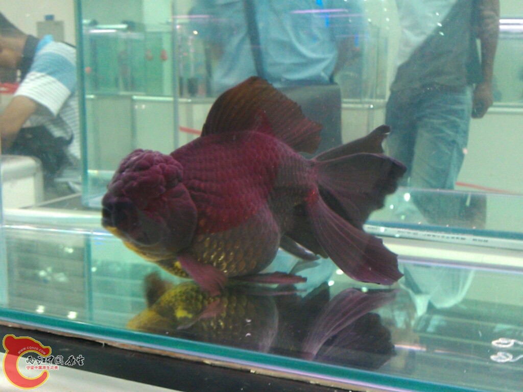 CYMERA_20120916_142825.jpg