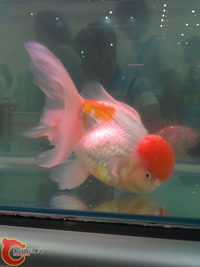 CYMERA_20120916_142854.jpg