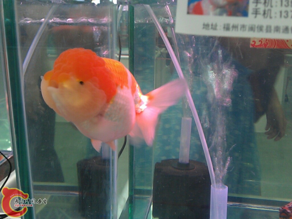 CYMERA_20120916_143000.jpg