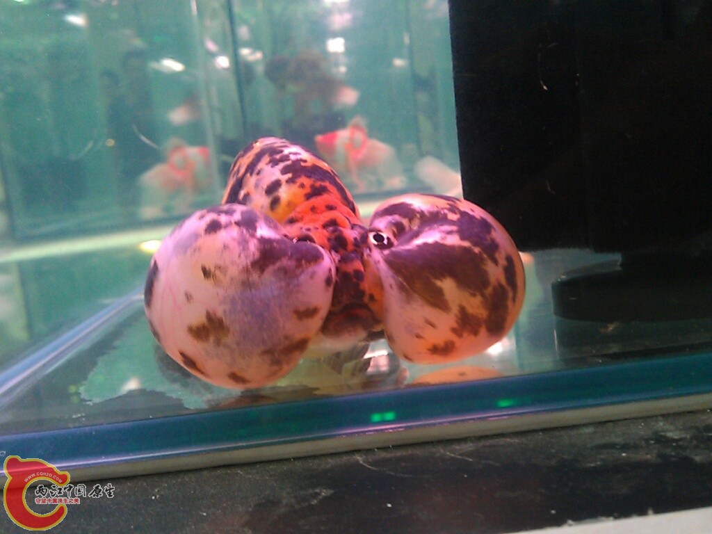 CYMERA_20120916_143452.jpg
