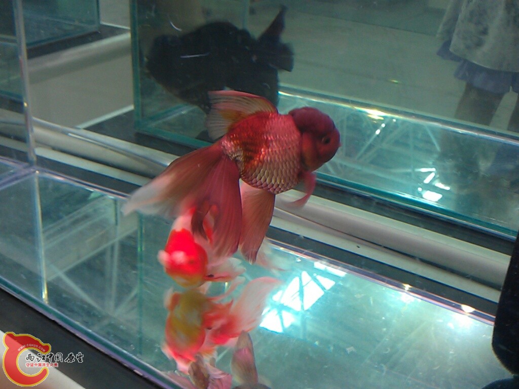 CYMERA_20120916_143504.jpg