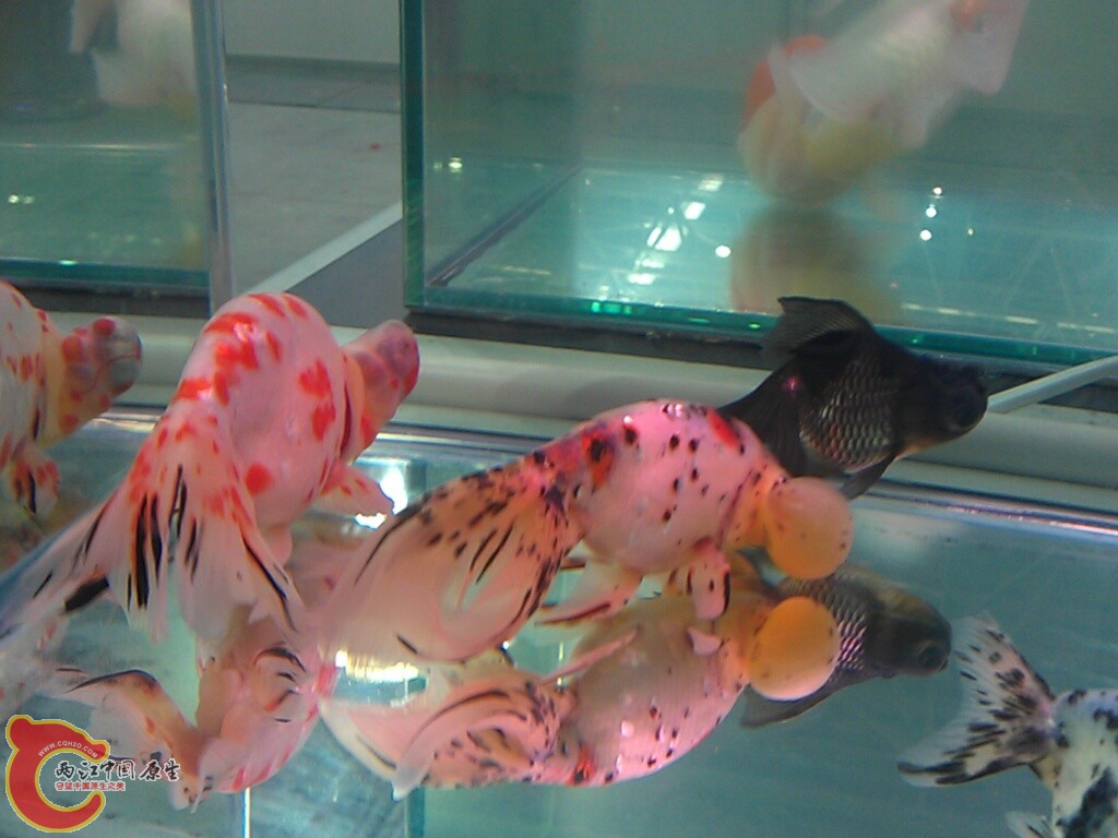 CYMERA_20120916_143536.jpg