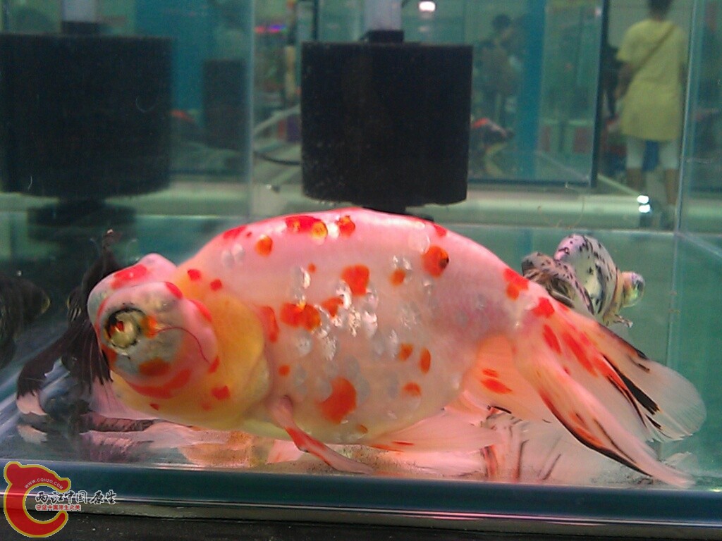 CYMERA_20120916_143548.jpg