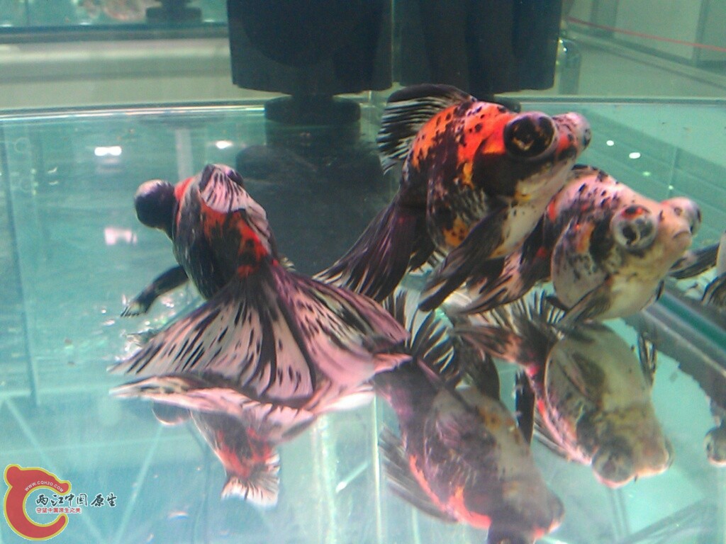 CYMERA_20120916_143559.jpg
