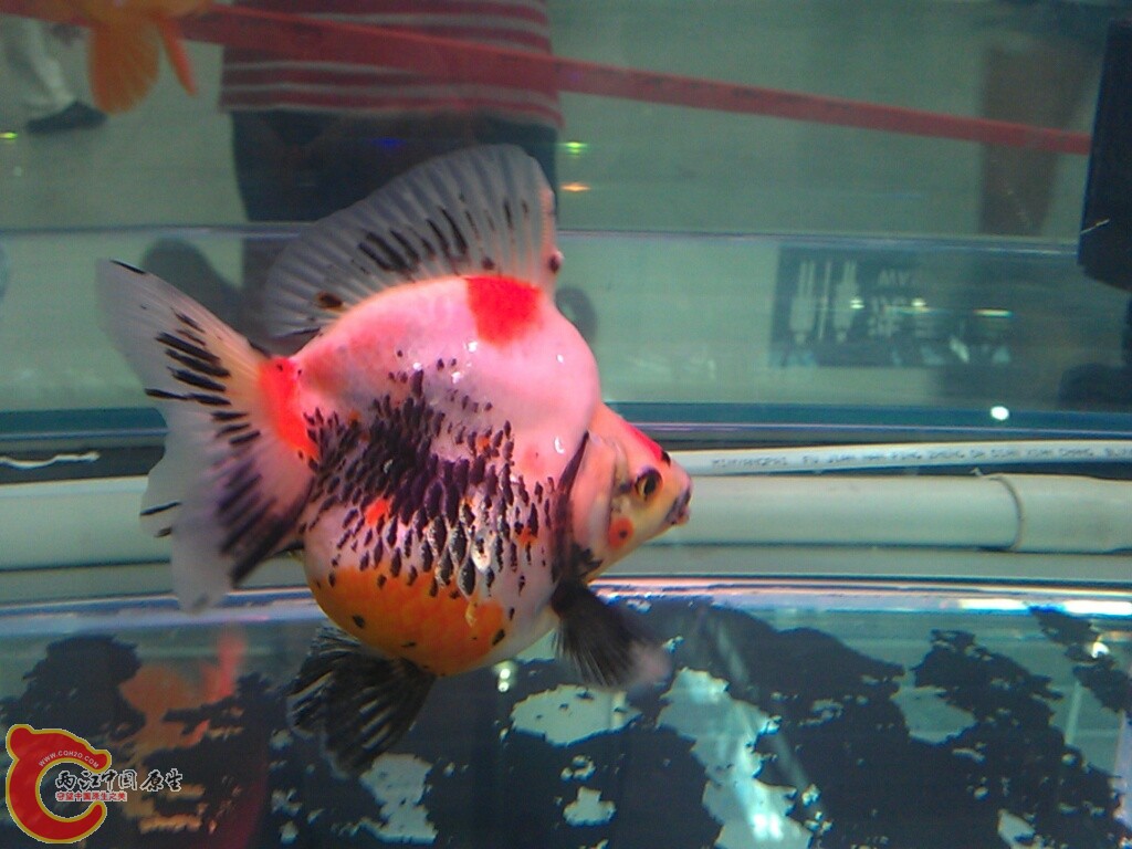 CYMERA_20120916_143642.jpg