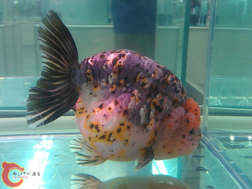 CYMERA_20120916_143709.jpg