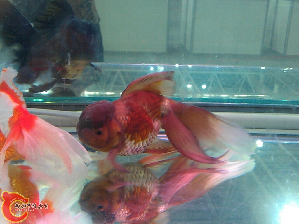 CYMERA_20120916_144053.jpg