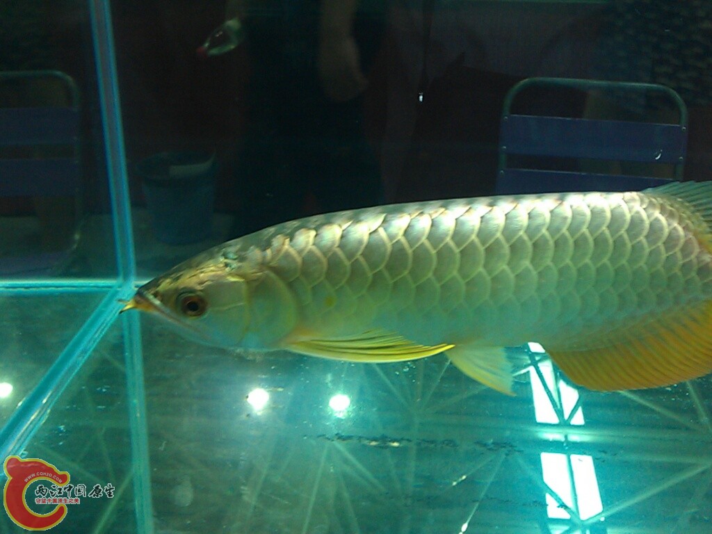 CYMERA_20120916_144128.jpg