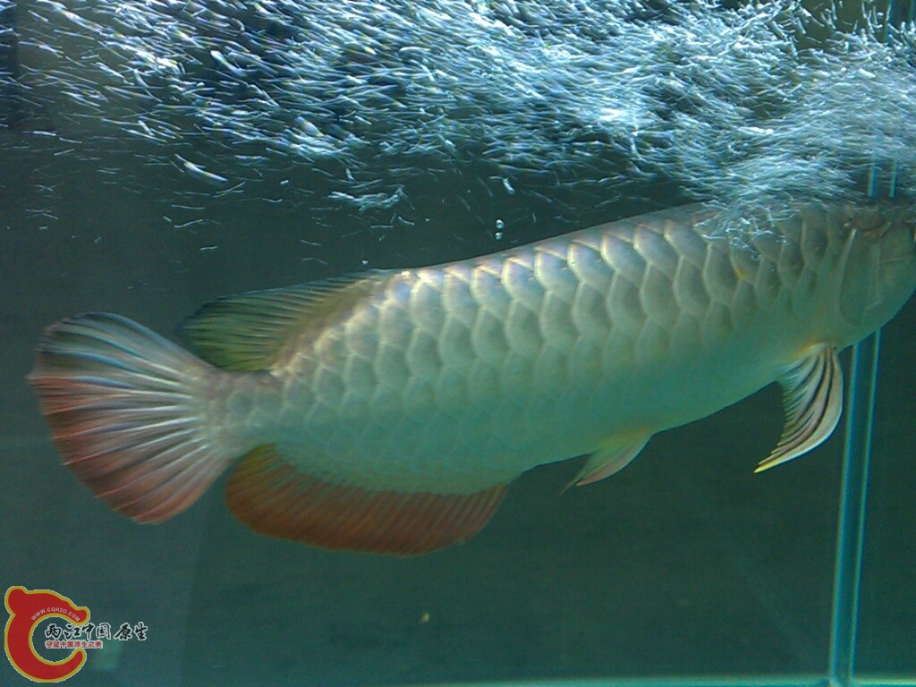 CYMERA_20120916_144226.jpg
