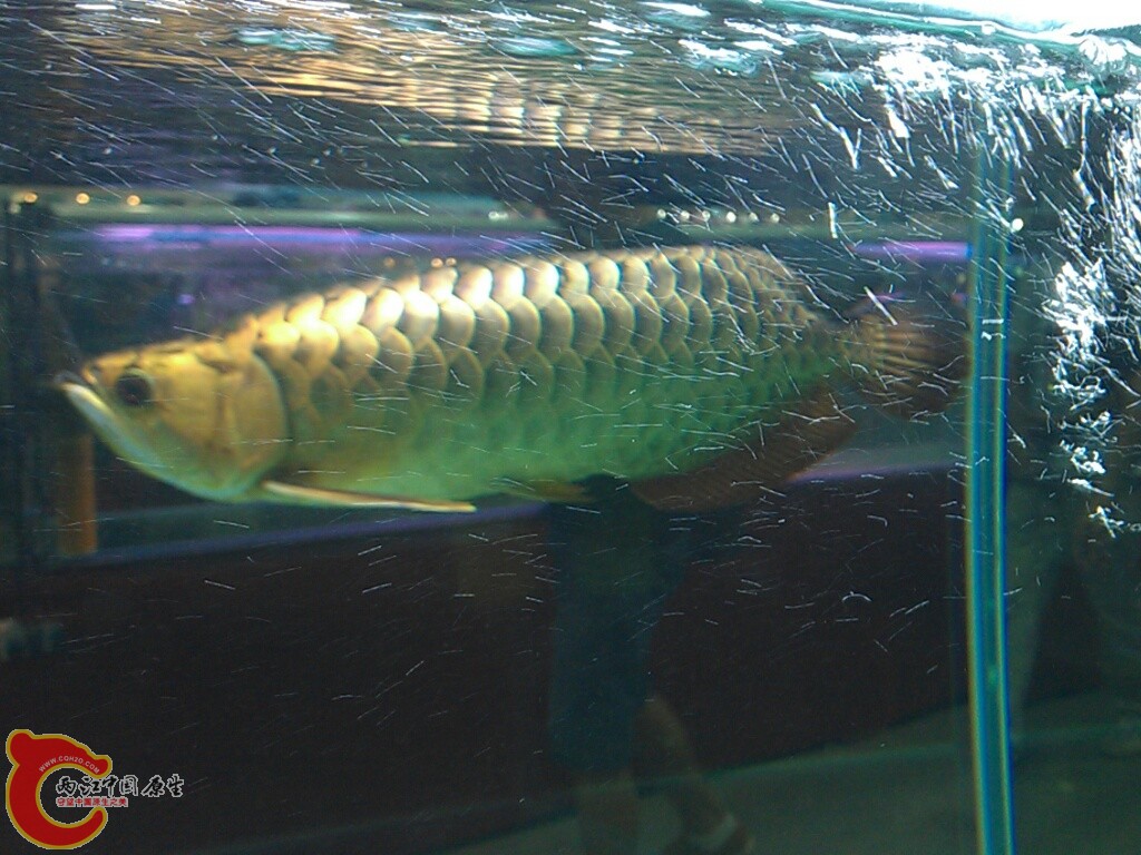 CYMERA_20120916_144359.jpg