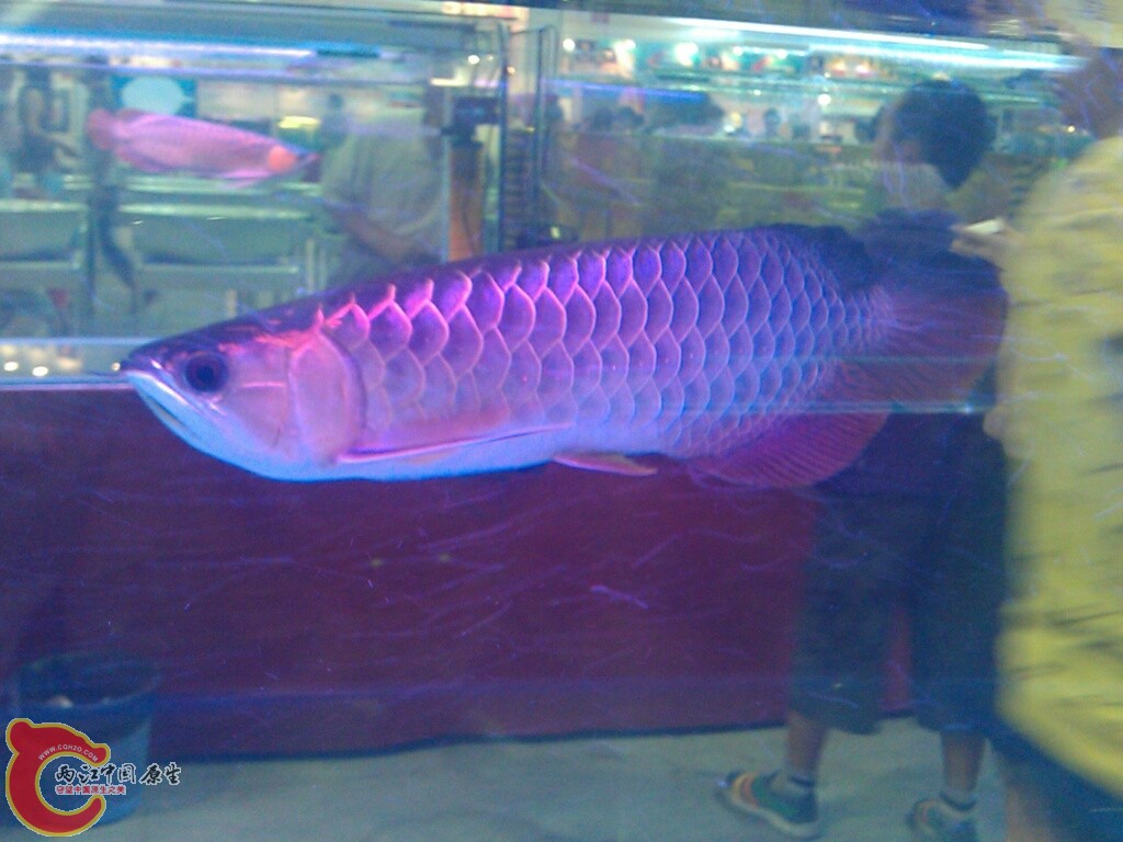 CYMERA_20120916_144517.jpg