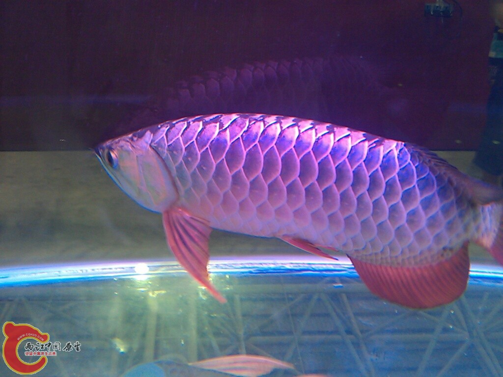 CYMERA_20120916_144604.jpg