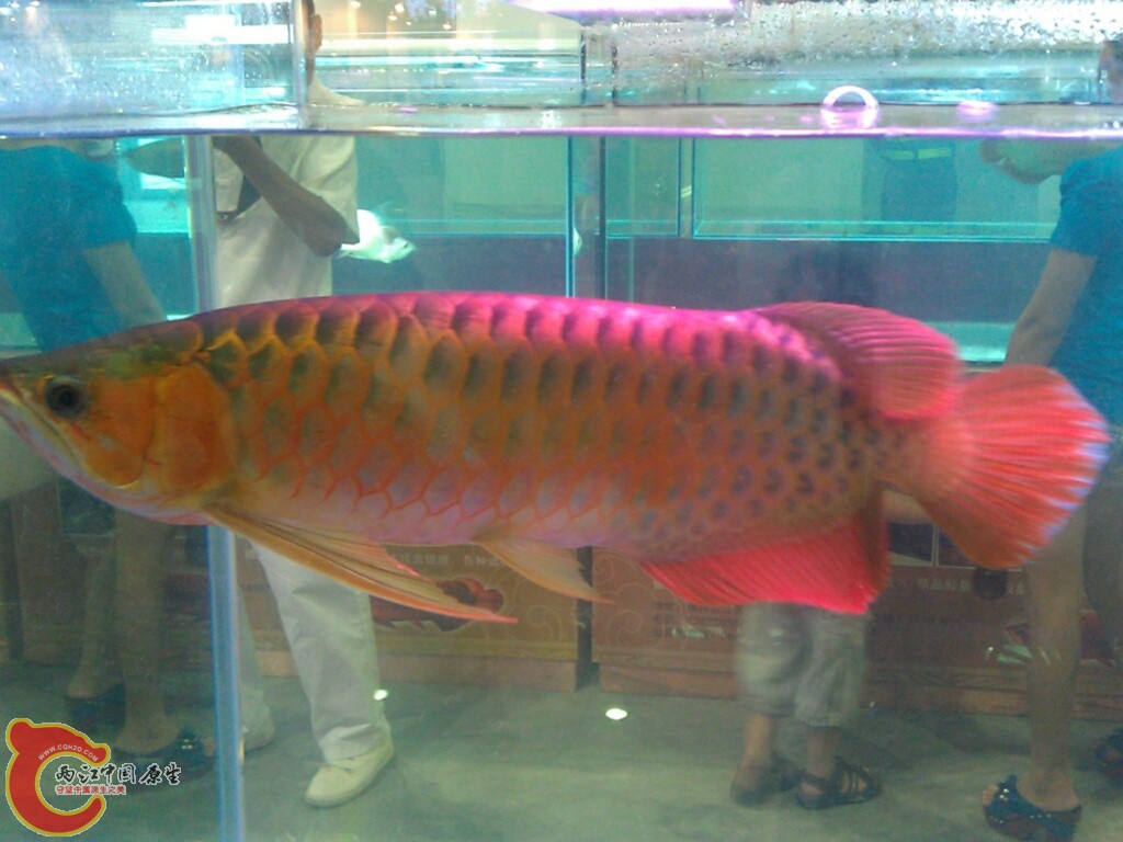 CYMERA_20120916_144640.jpg