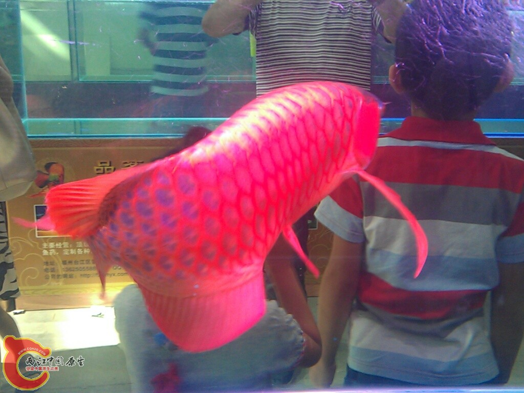 CYMERA_20120916_145013.jpg