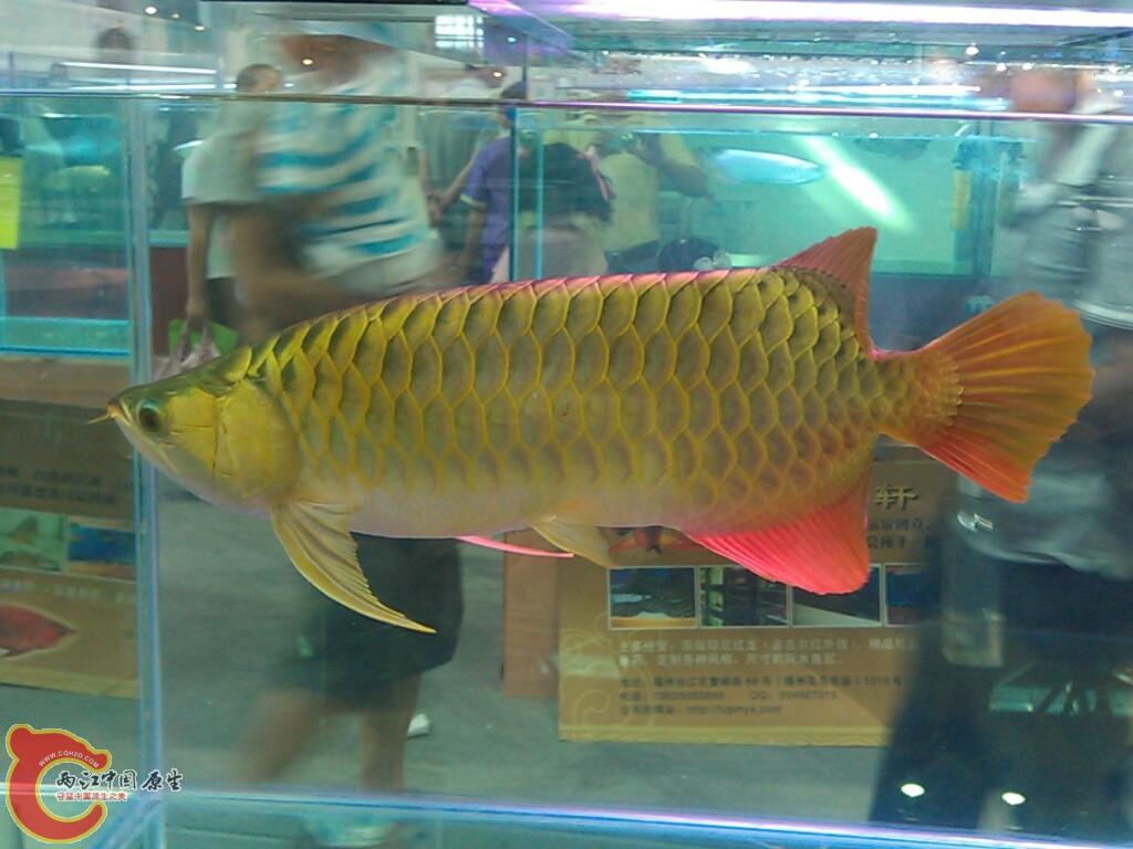 CYMERA_20120916_145133.jpg