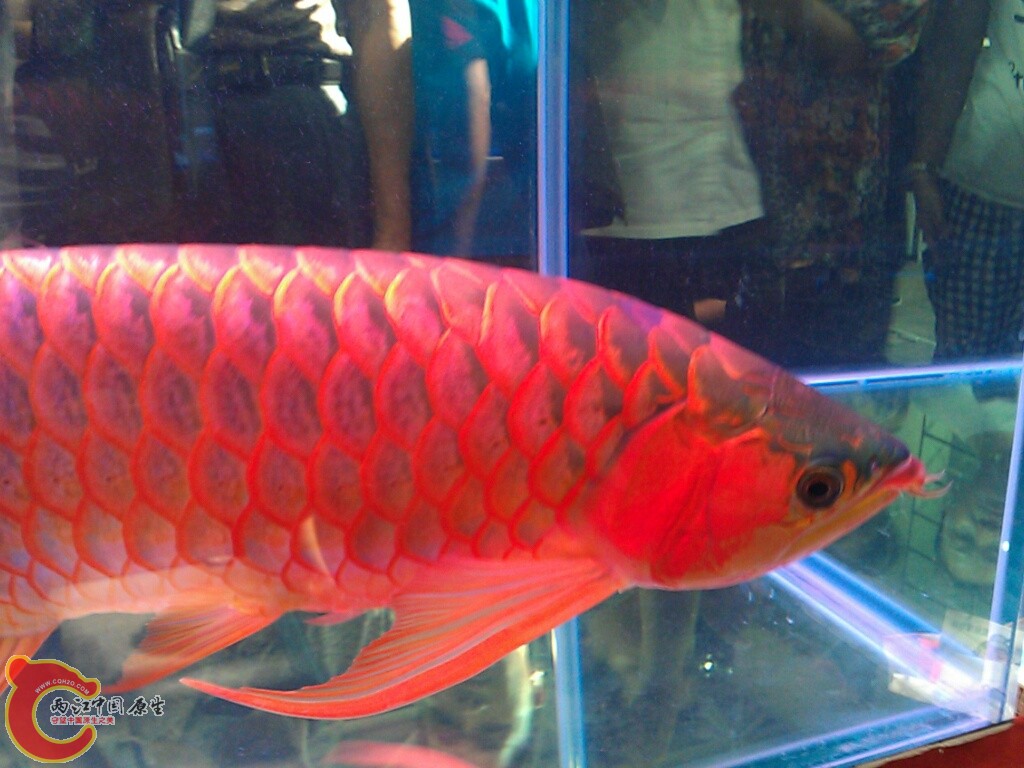 CYMERA_20120916_145223.jpg