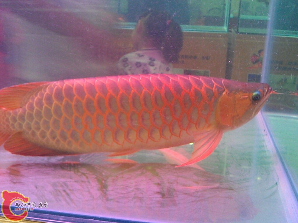 CYMERA_20120916_145302.jpg