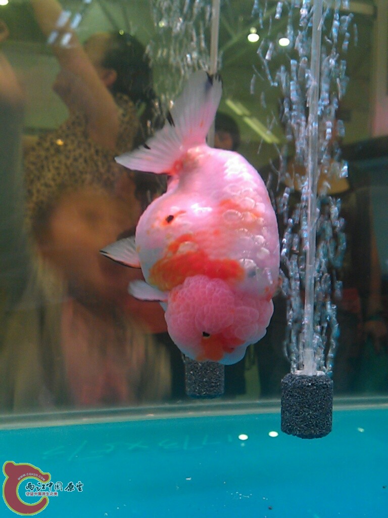 CYMERA_20120916_150724.jpg