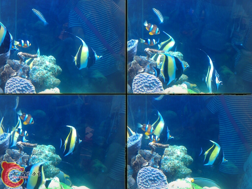 CYMERA_20120916_151054.jpg