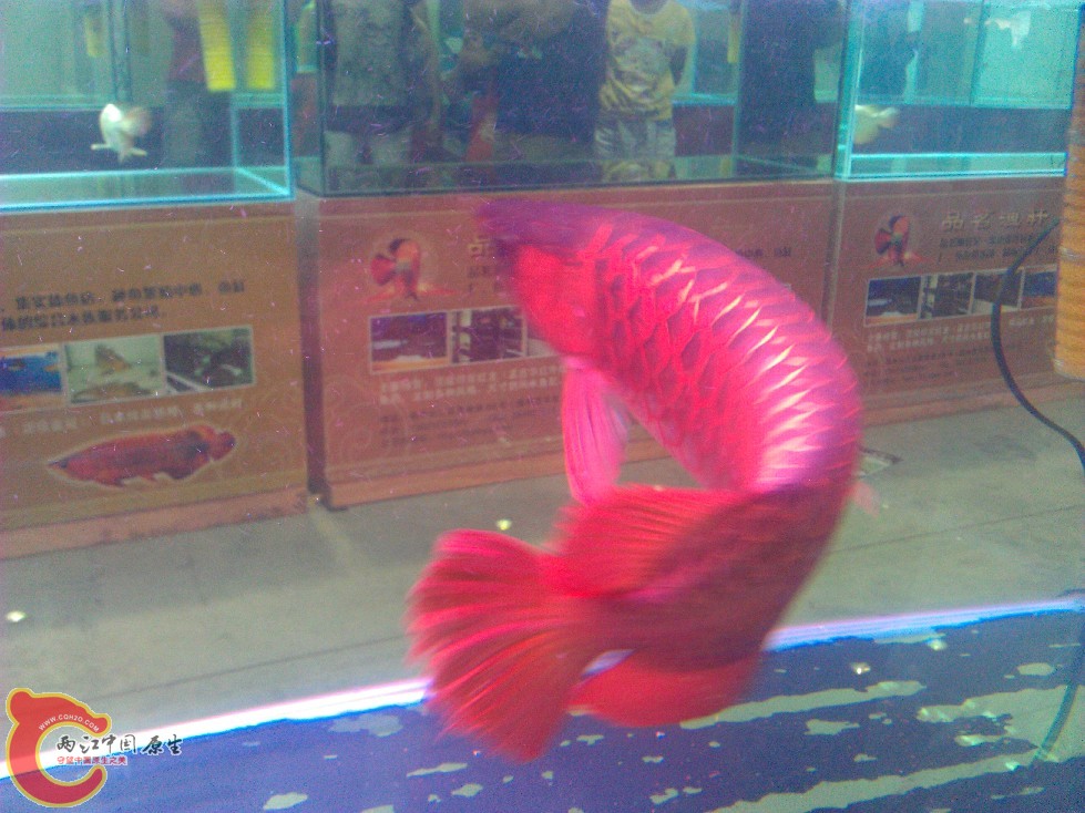 tbCYMERA_20120916_14485300.jpg