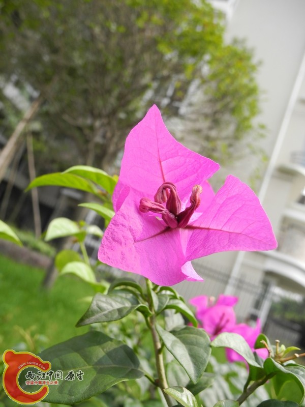 DSCN0187.JPG