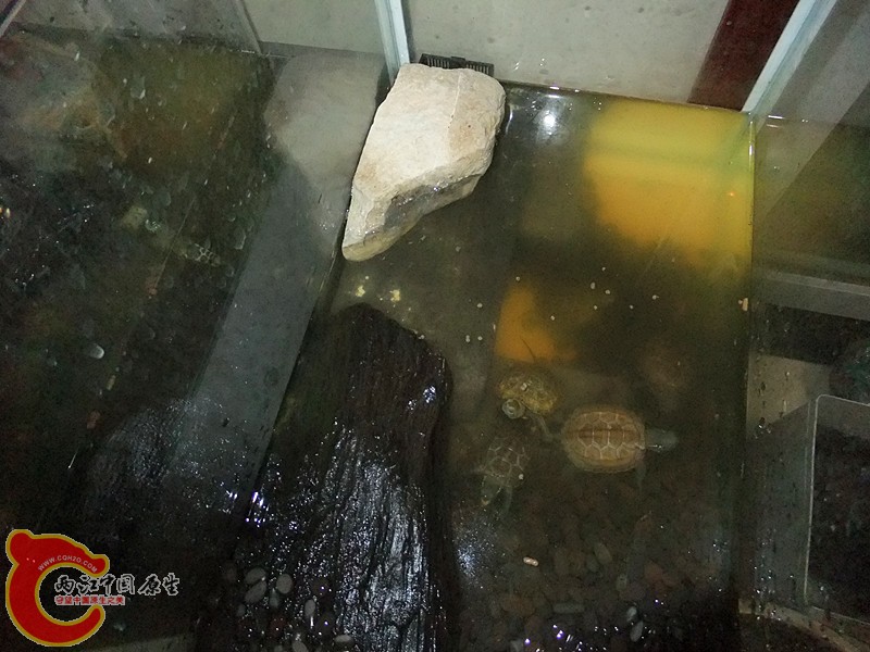 DSCF5993_副本.jpg