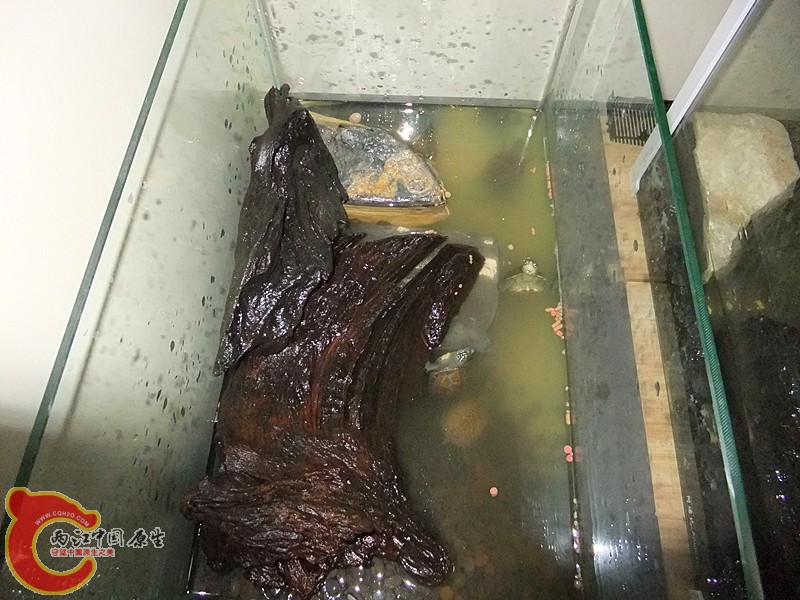 DSCF5994_副本.jpg