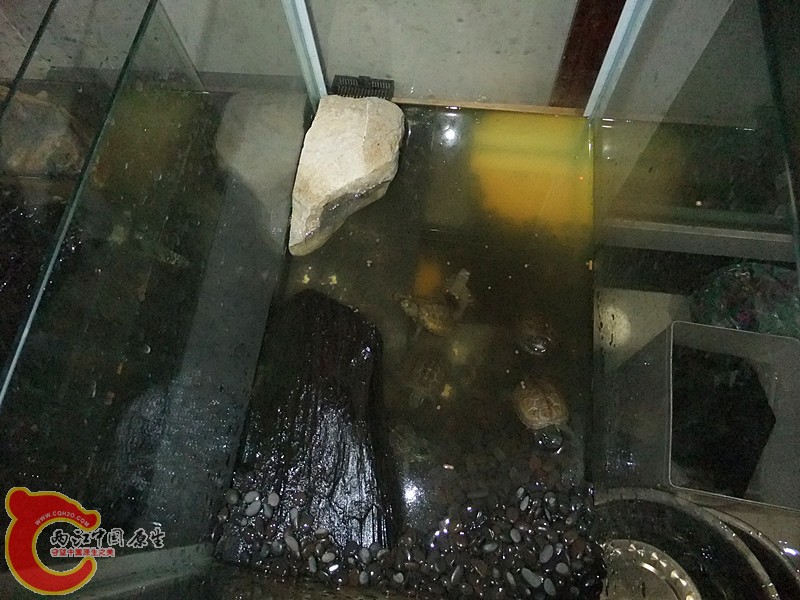DSCF5995_副本.jpg