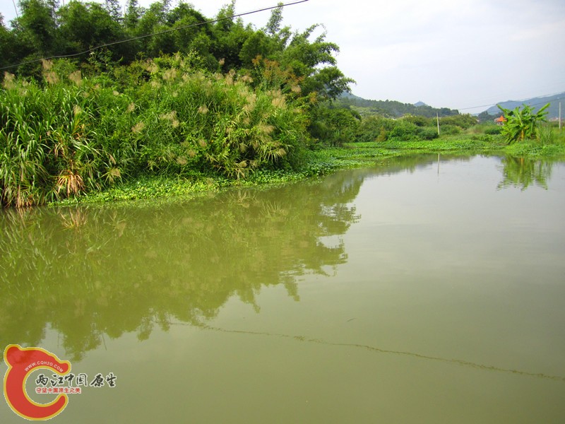 IMG_5765_副本.jpg