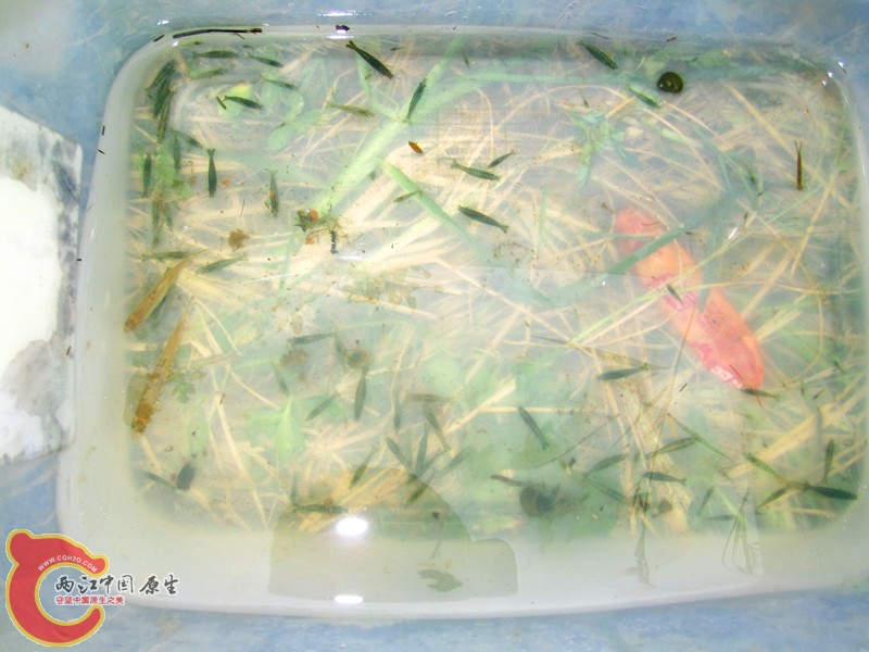 IMG_5770_副本.jpg