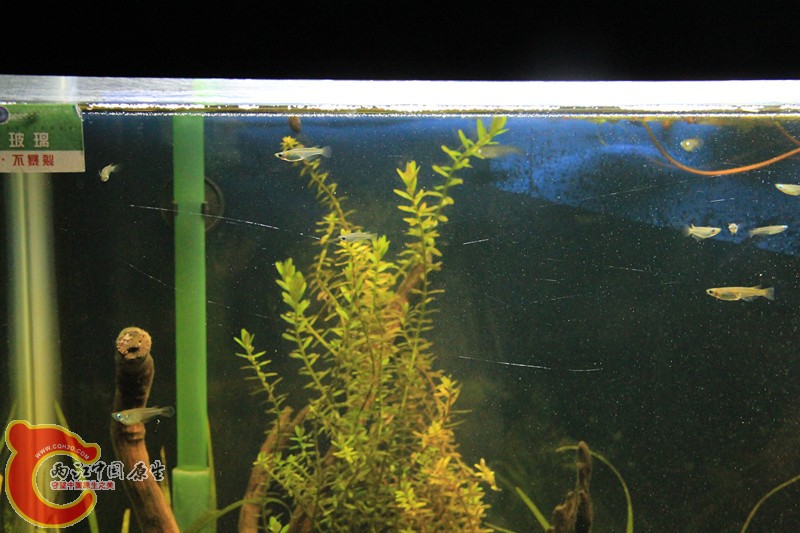 照片 076_副本.jpg