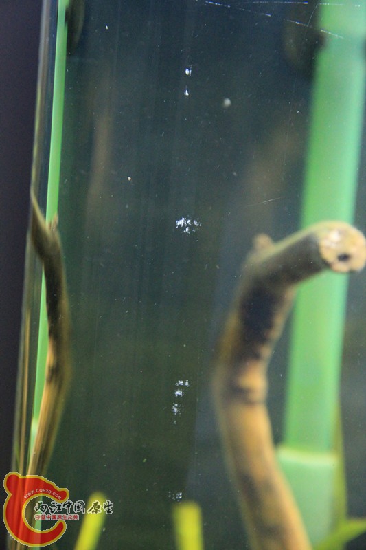 照片 077_副本.jpg