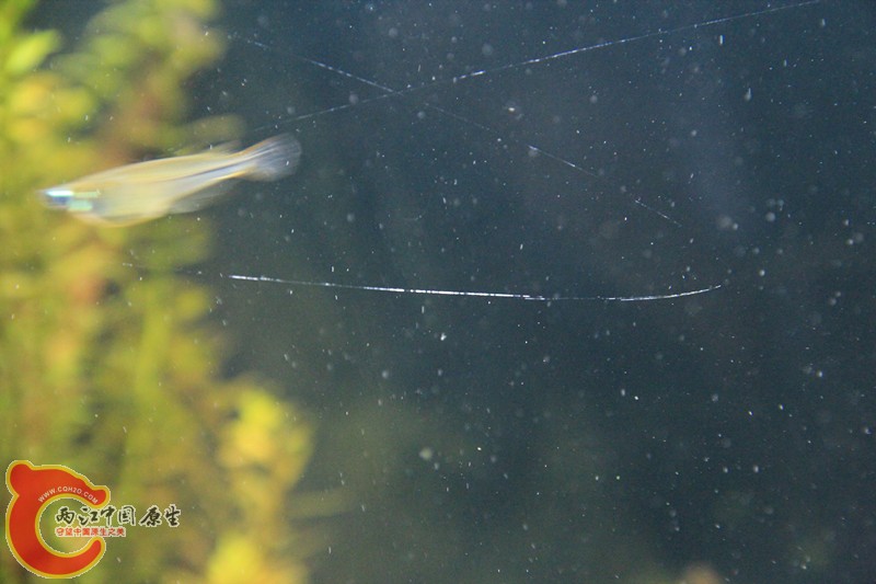 照片 079_副本.jpg