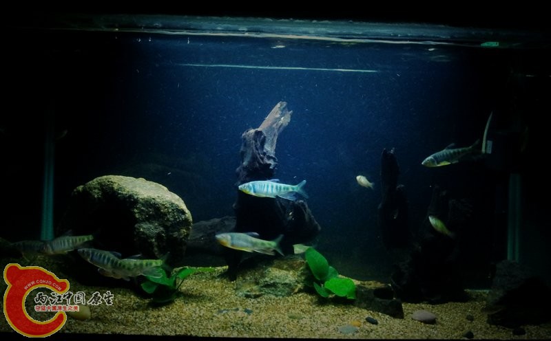 20120921_204220.jpg