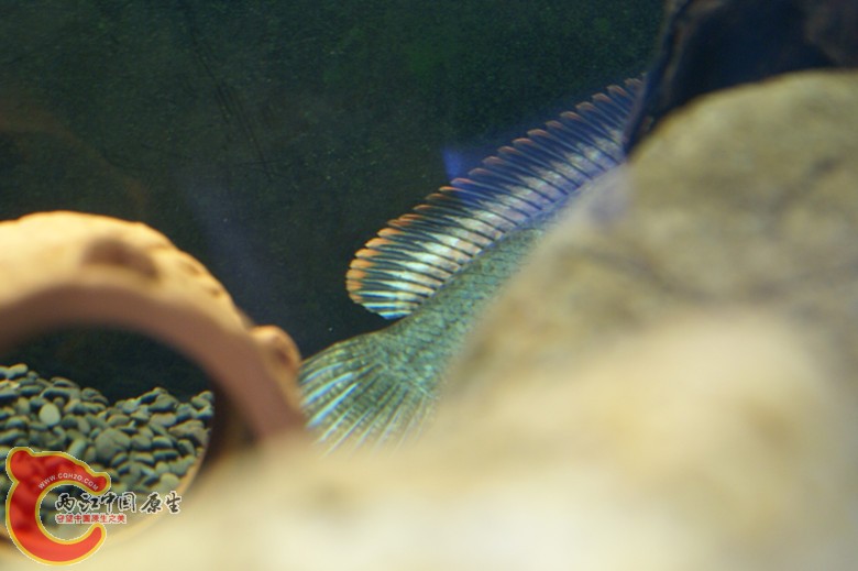 DSC08459_副本.jpg