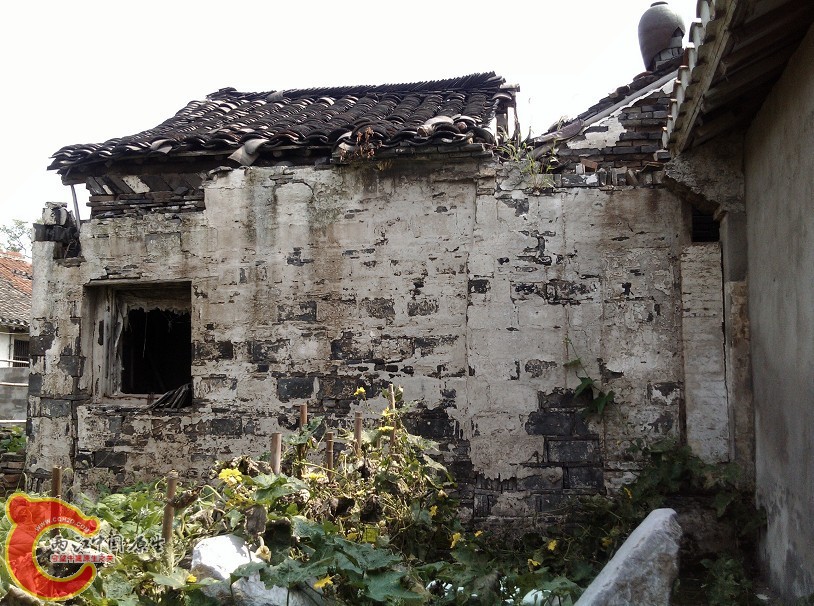 05.jpg