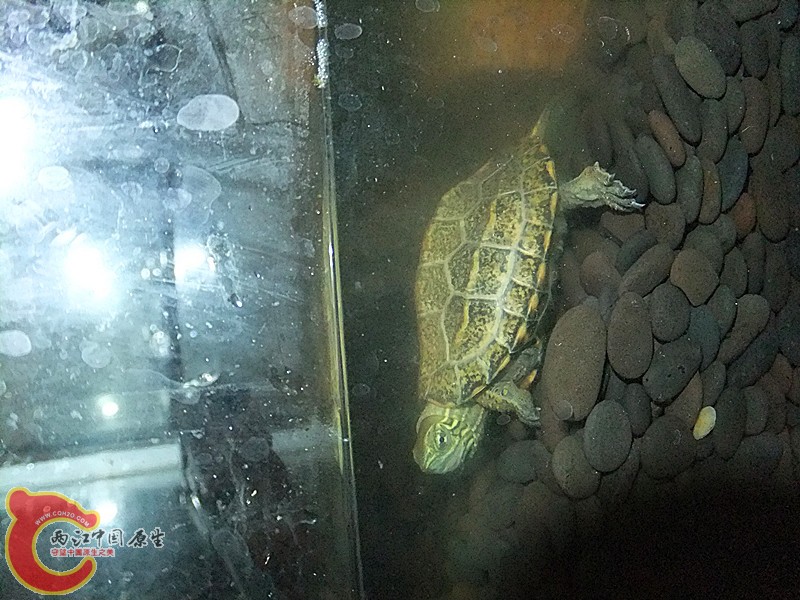 DSCF6006_副本.jpg