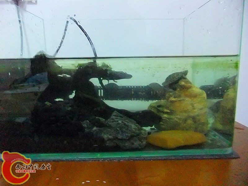 DSCF6012_副本.jpg