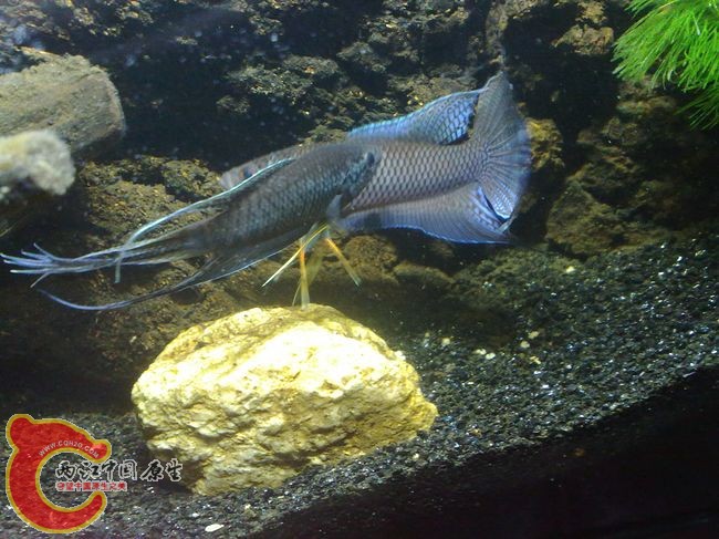 201208262507.jpg
